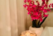 🌿 Authentic Thai Massage in Harrogate – Experience the Art of True Relaxation 🌿